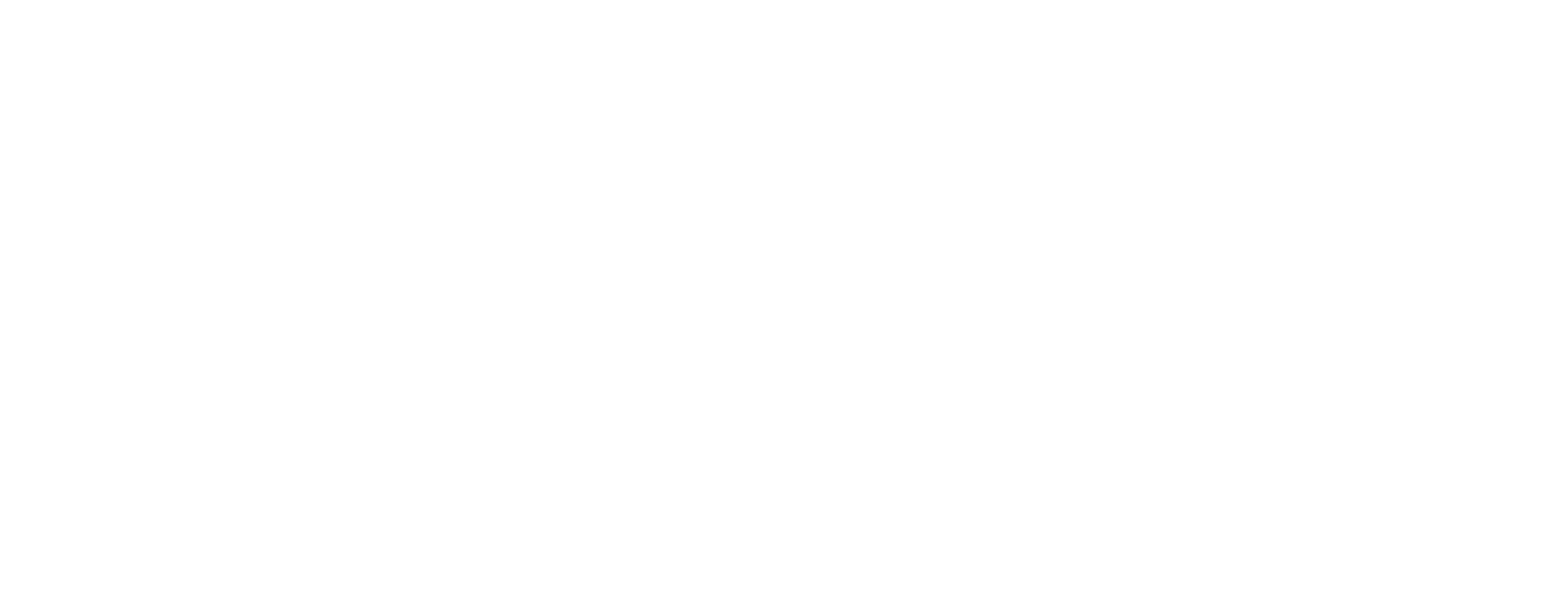 Logo ECLISSE blanc